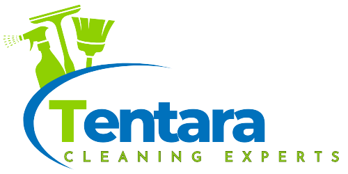 Tentara Cleaning